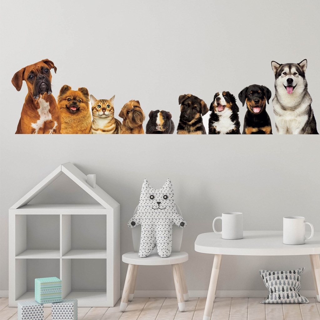 C30# 9 Cute Cats And Dogs Wall - Home Cinema Wall ulasan dan harga
