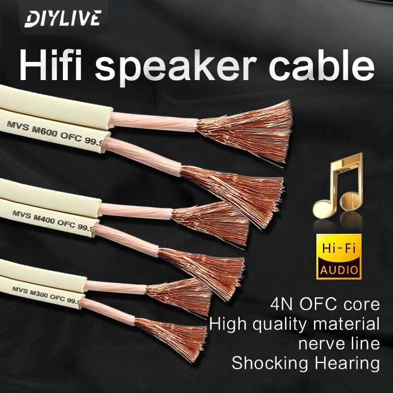 DIYLIVE HiFi Speaker Line for  - Home Cinema Xlr ulasan dan harga